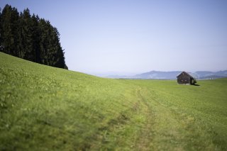 Quasi indestructibles, les PFAS regroupent plus de 4700 molécules et s'accumulent avec le temps dans l'air, le sol, les rivières, jusque dans le corps humain. KEYSTONE/GIAN EHRENZELLER